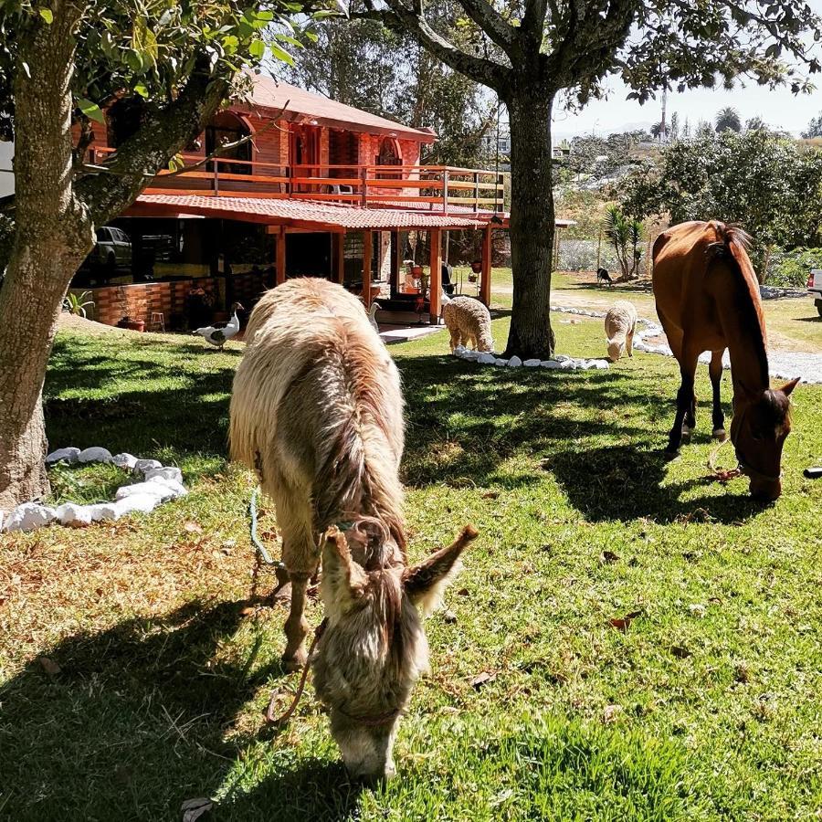 Puembo La Granja De Papa Alberto المظهر الخارجي الصورة